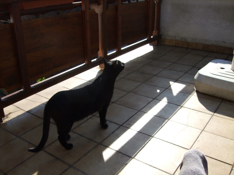 Ostern 2007 Orleshausen 059 